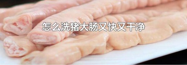 怎么洗猪大肠又快又干净