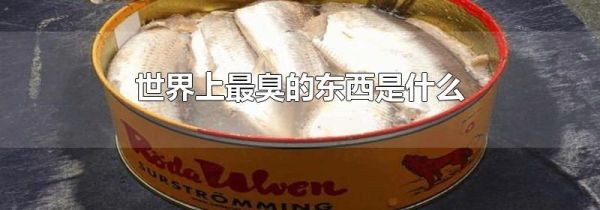 世界上最臭的东西是什么