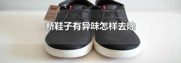 新鞋子有异味怎样去除