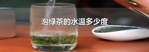 泡绿茶的水温多少度