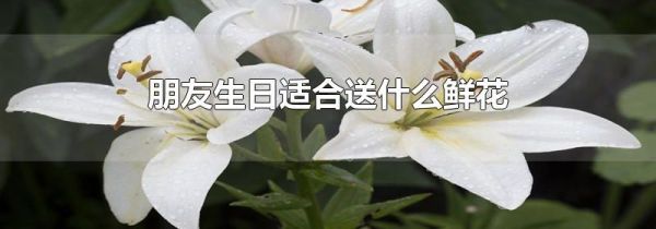 朋友生日适合送什么鲜花