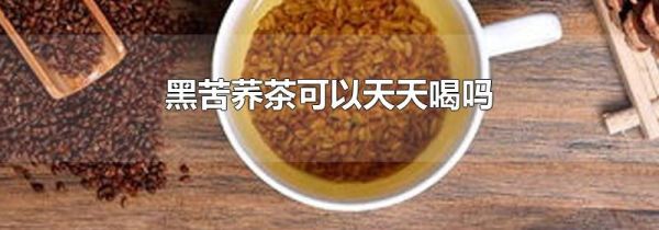 黑苦荞茶可以天天喝吗