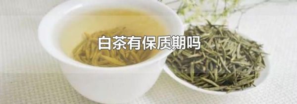 白茶有保质期吗