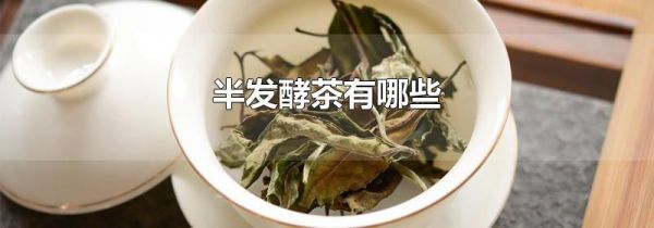 半发酵茶有哪些