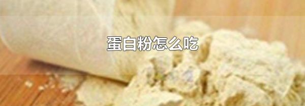 蛋白粉怎么吃