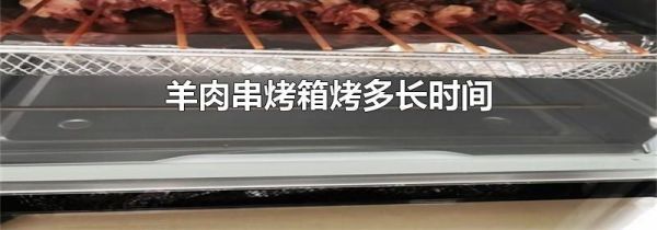 羊肉串烤箱烤多长时间