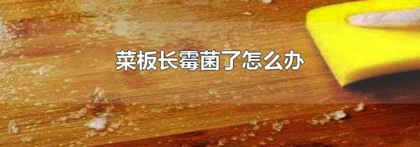 菜板长霉菌了怎么办