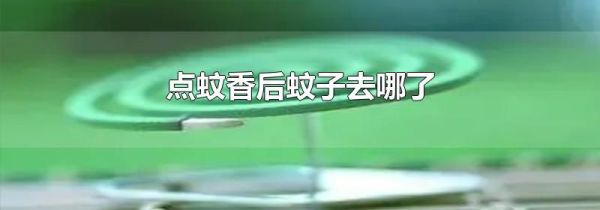 点蚊香后蚊子去哪了