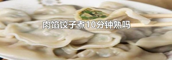肉馅饺子煮10分钟熟吗
