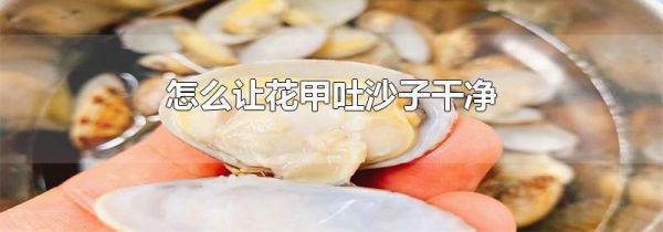 怎么让花甲吐沙子干净