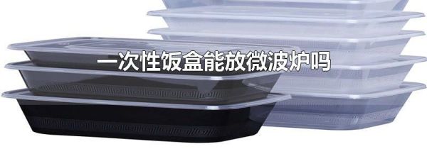 一次性饭盒能放微波炉吗