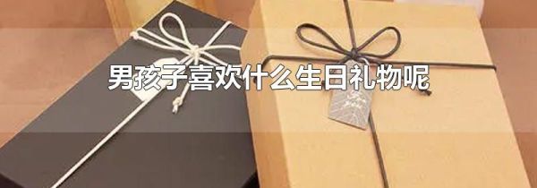 男孩子喜欢什么生日礼物呢
