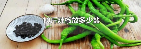 10斤辣椒放多少盐