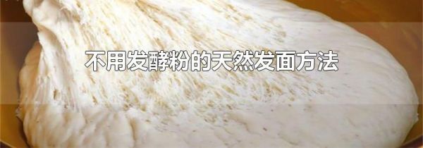 不用发酵粉的天然发面方法