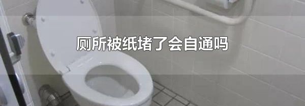 厕所被纸堵了会自通吗