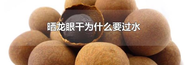 晒龙眼干为什么要过水