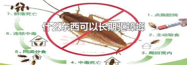 什么东西可以长期驱蟑螂