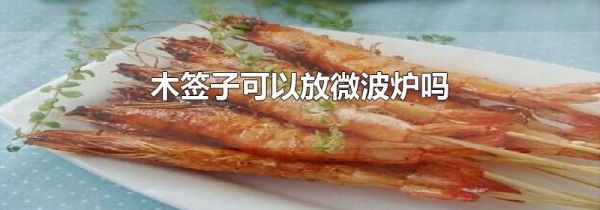木签子可以放微波炉吗