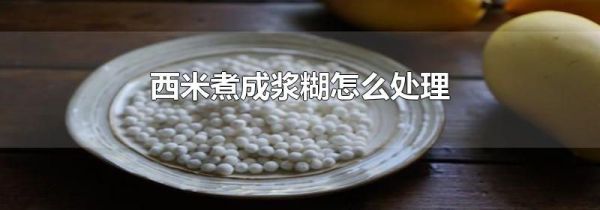 西米煮成浆糊怎么处理