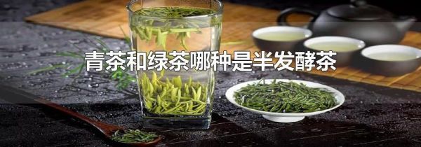青茶和绿茶哪种是半发酵茶