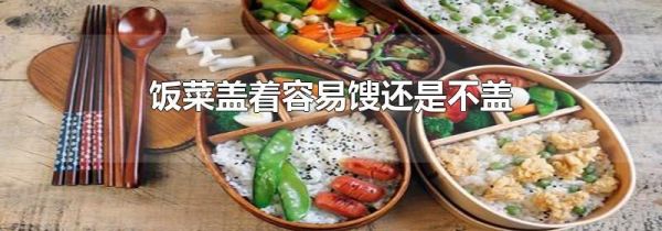 饭菜盖着容易馊还是不盖