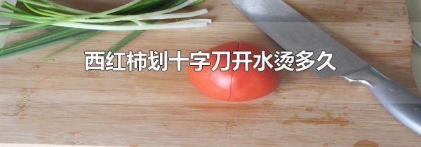 西红柿划十字刀开水烫多久