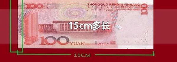 15cm多长