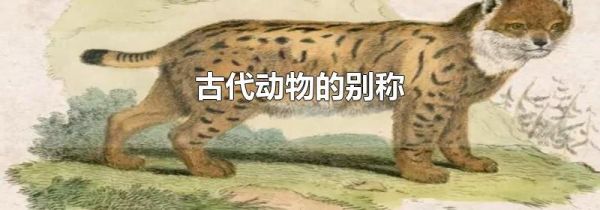 古代动物的别称