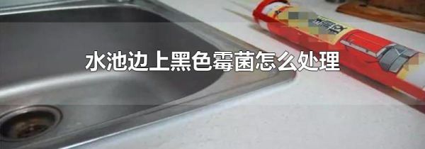 水池边上黑色霉菌怎么处理
