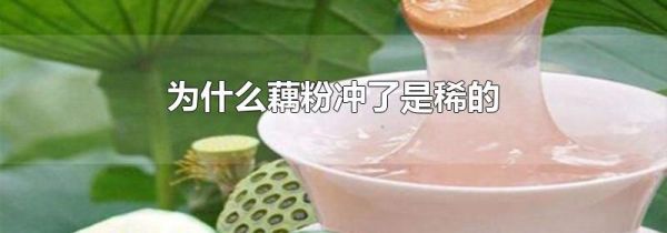 为什么藕粉冲了是稀的