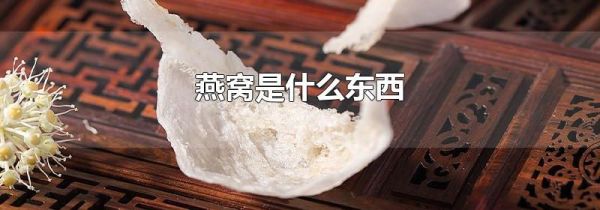 燕窝是什么东西