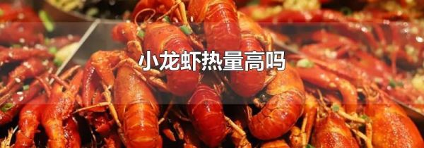 小龙虾热量高吗