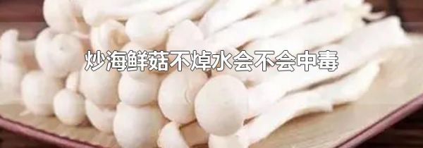 炒海鲜菇不焯水会不会中毒