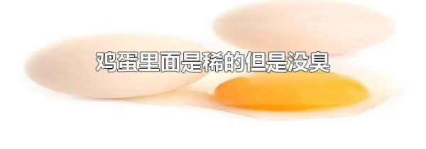鸡蛋里面是稀的但是没臭
