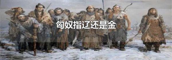 匈奴指辽还是金