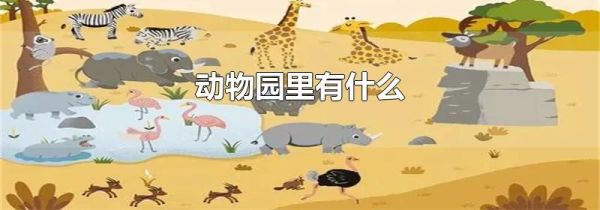 动物园里有什么