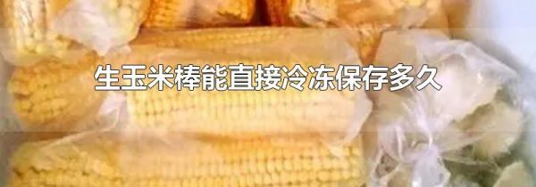 生玉米棒能直接冷冻保存多久