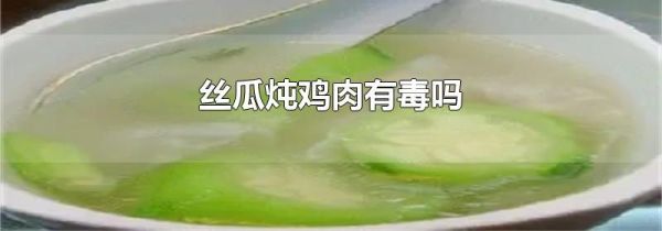 丝瓜炖鸡肉有毒吗
