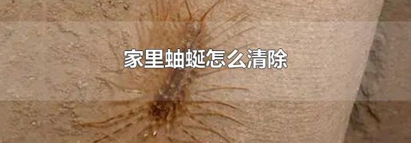 家里蚰蜒怎么清除
