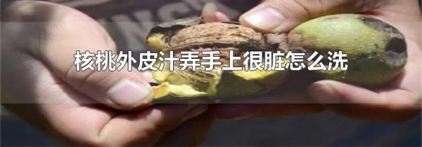 核桃外皮汁弄手上很脏怎么洗