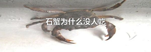 石蟹为什么没人吃