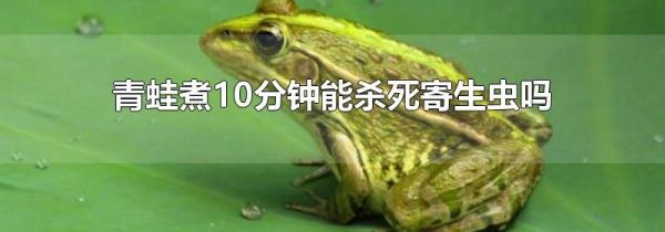 青蛙煮10分钟能杀死寄生虫吗