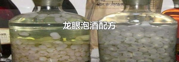龙眼泡酒配方