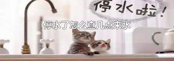 停水了怎么查几点来水