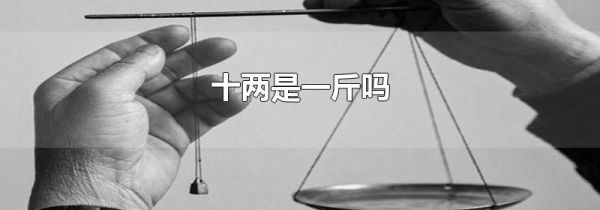 十两是一斤吗
