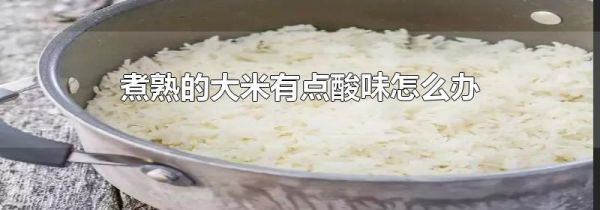 煮熟的大米有点酸味怎么办