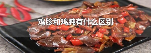 鸡胗和鸡肫有什么区别