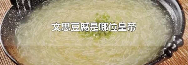 文思豆腐是哪位皇帝