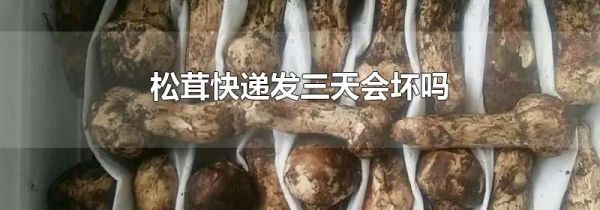 松茸快递发三天会坏吗
