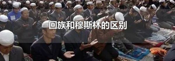 回族和穆斯林的区别
